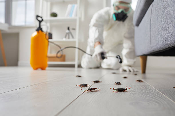 Commercial Kitchen Cockroach Control in Oak Park